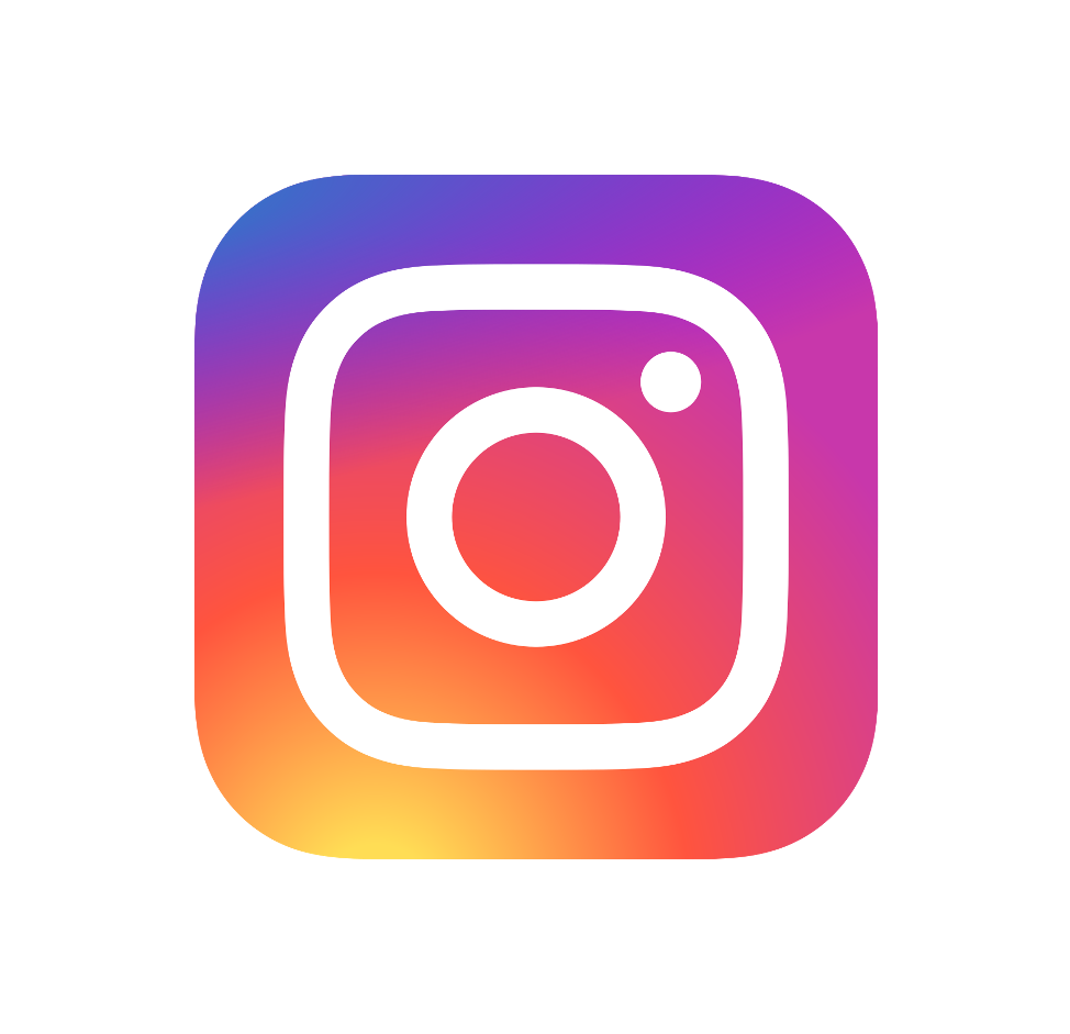 instagram logo lavisa